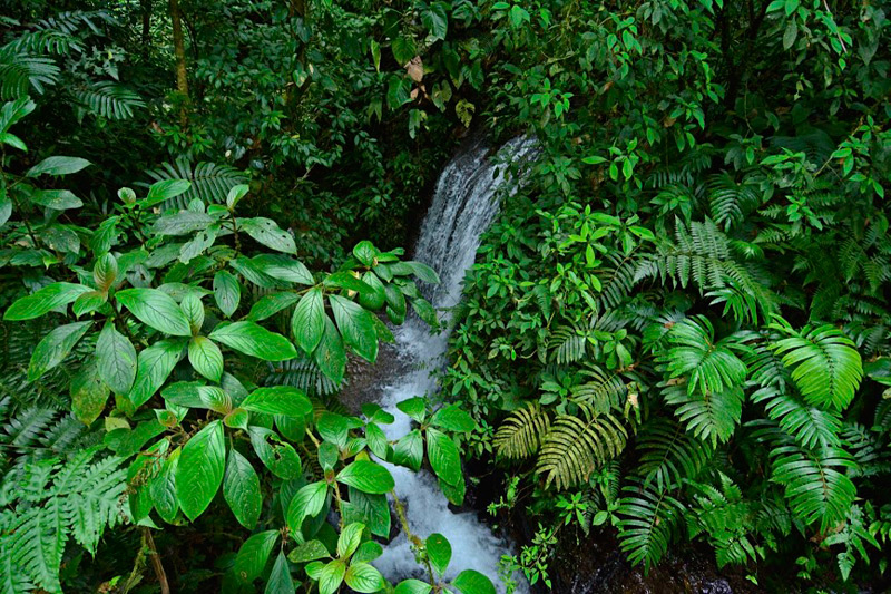 Waterfall at Chachagua Costa Rica Eco Lodge